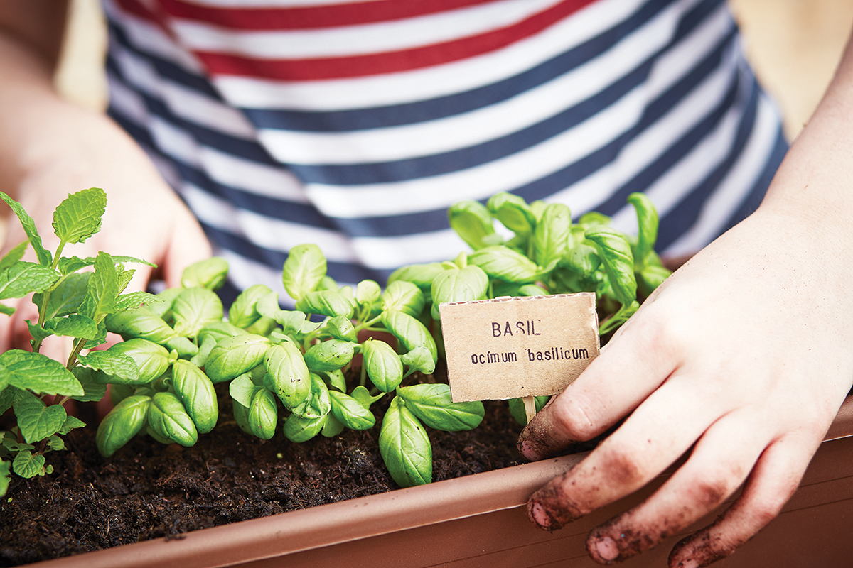 CIRCA Magazine | The Wonderful World Of Gardening