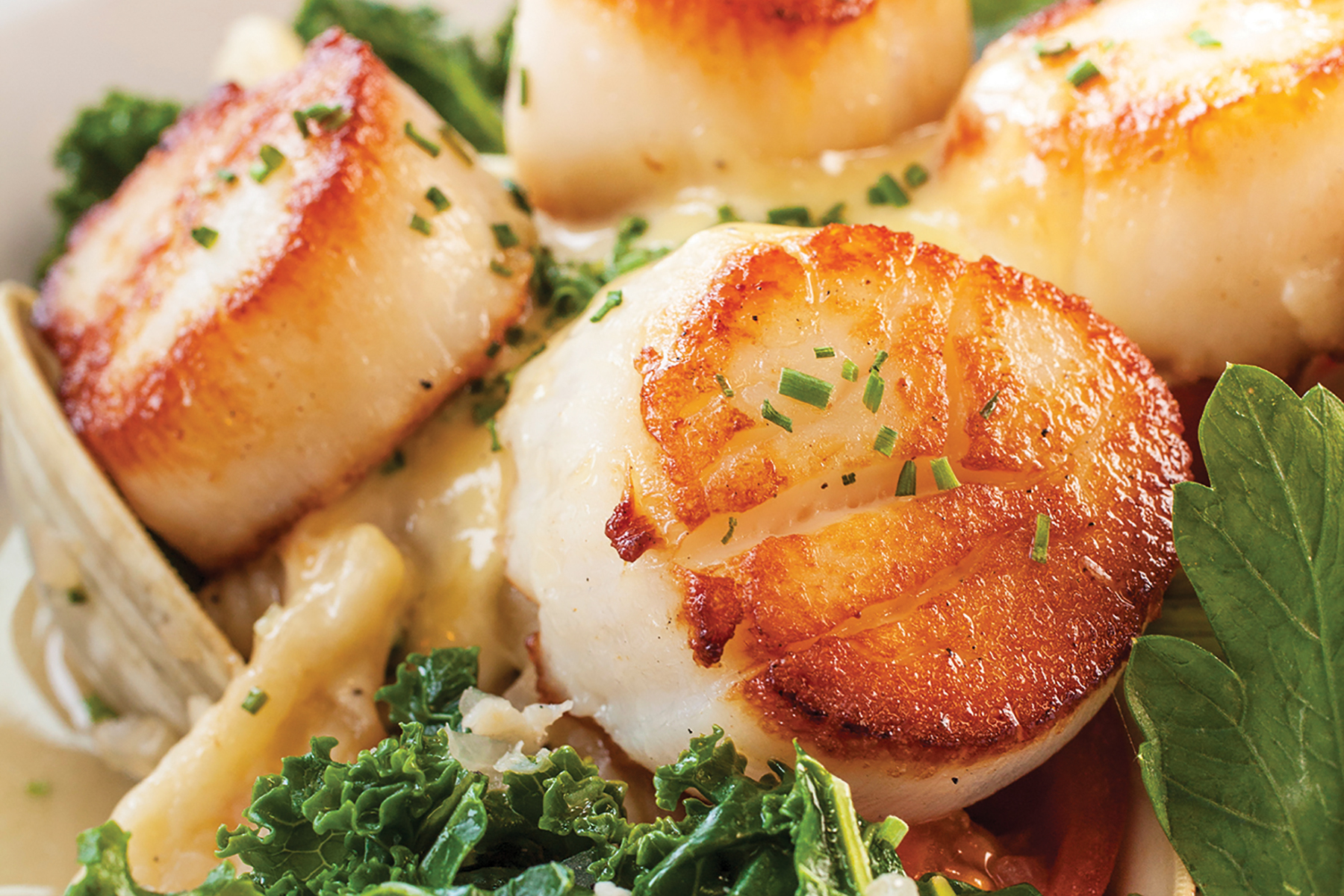 CIRCA Magazine Sweet On Scallops